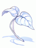 Herosria White Herb