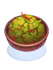 Savory Herb Salad (Str+1)