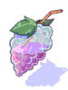 Honey Grape Juice