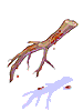 Bloody Branch