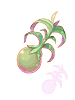 Unripe Yggdrasil Seed