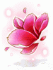 Peony Mommy