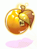 RG Golden Apple