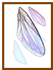 Giant Fly Wing Box 500