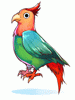 Happy Parrot [1]