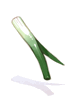 Poring Village Green Onion