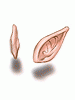 Costume Elven Ears