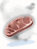 Stinky Rotten Meat