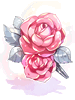 Rose of Choice