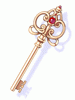 Kachua's Secret Key
