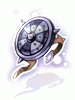 Master Shadow Shield
