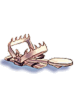 Broken Trap