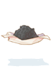 Antique Gunpowder