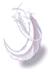 Mystical Feather