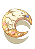 Lunatic Brooch [1]