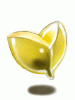 Power of Ochosi