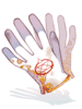 Alchemy Glove [1]