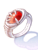 Physical Enhancer Ring [1]