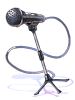Costume Mic Stand