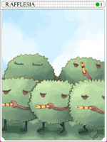 Rafflesia Card