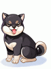 Costume Black Shiba Inu