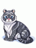 Costume Tiger (Black)
