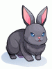 Costume Black Rabbit