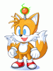 Costume Mini Tails
