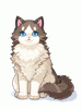 Costume Ragdoll