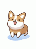 Costume Shiba Says A-Ji