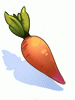 Costume Carrot in Mouth