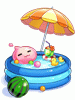 Costume Summer Pool