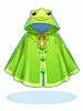 Cute Frog Raincoat [1]