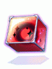 Rough Core [1]
