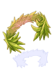 Emperor's Wreath