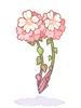 Persica [1]