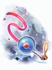 Flush Safety Whip [2]