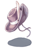 New Cowboy Hat