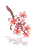 Red Cherry Blossom