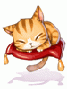 Sleeping Cat [1]