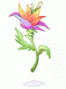Mysterious Flower
