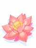 Elegant Flower
