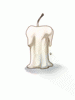 Birthday Candle