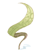Soft Blade of Grass