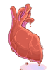 Mermaid's Heart