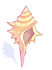 Concha
