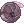 Sow Bug