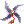 Shuriken Huuma TE