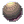 Cannon Ball