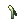 Poring Village Green Onion